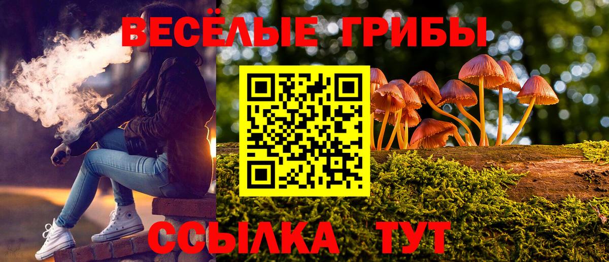 где купить   Вход с VPN  Магнитогорск  Псилоцибиновые грибы прущие грибы 